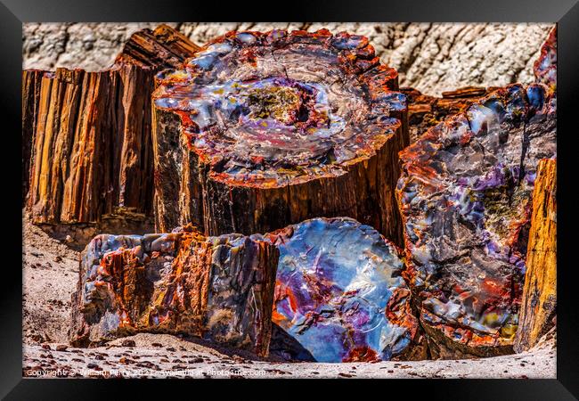 Petrified Wood Rock Logs Abstract National Park Arizona Framed Print by William Perry