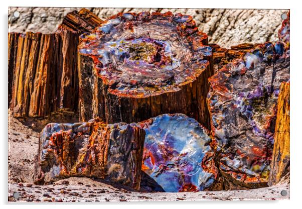 Petrified Wood Rock Logs Abstract National Park Arizona Acrylic by William Perry