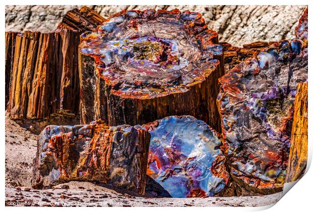 Petrified Wood Rock Logs Abstract National Park Arizona Print by William Perry