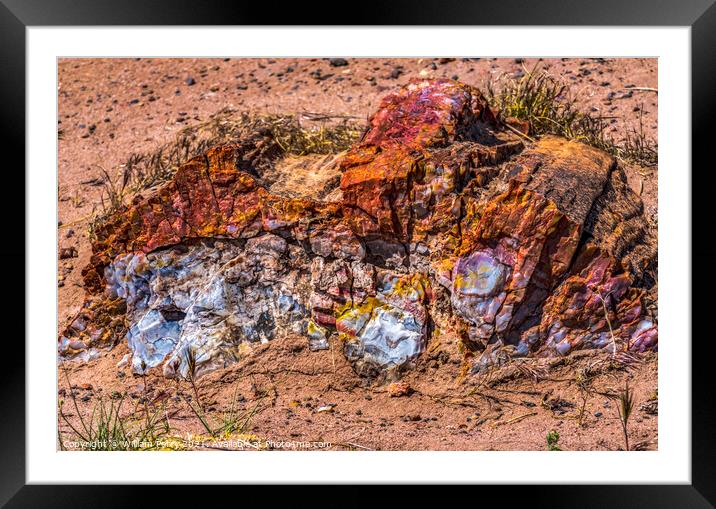 Petrified Wood Rock National Park Arizona Framed Mounted Print by William Perry