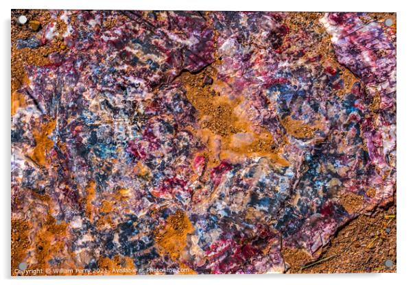 Petrified Wood Rock Abstract Background National Park Arizona Acrylic by William Perry