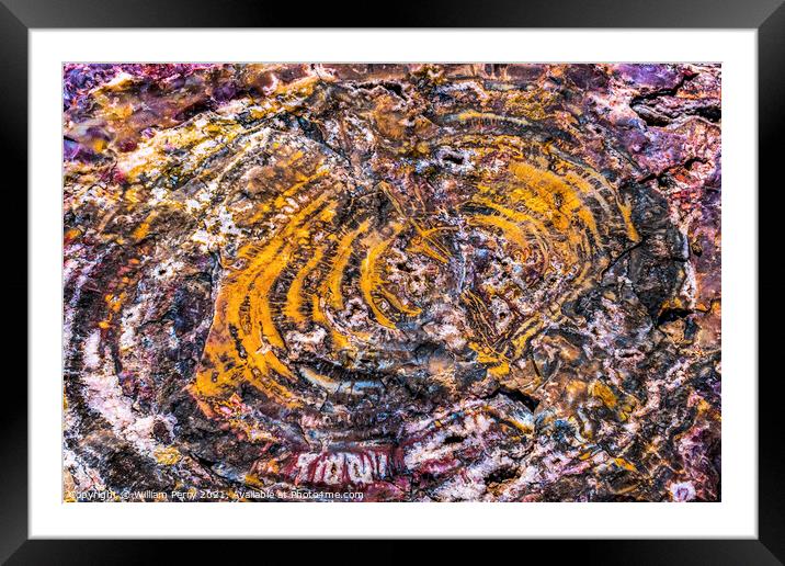 Petrified Wood Rock Abstract Background National Park Arizona Framed Mounted Print by William Perry