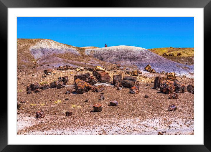 Petrified Wood Rock Logs National Park Arizona Framed Mounted Print by William Perry