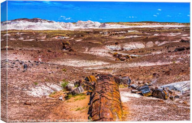 Petrified Wood Rock Logs National Park Arizona Canvas Print by William Perry