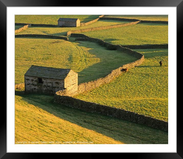 Sheep barns, drystone walls, Gunnerside, Swaledale, Yorkshire Dales Nat. Park Framed Mounted Print by Geraint Tellem ARPS