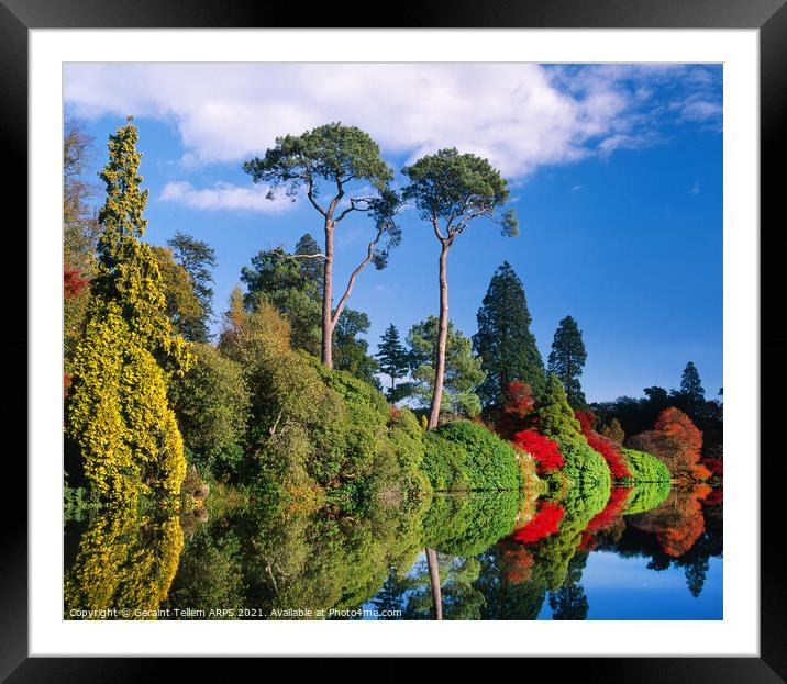 Sheffield Park in autumn, East Sussex, England, UK Framed Mounted Print by Geraint Tellem ARPS