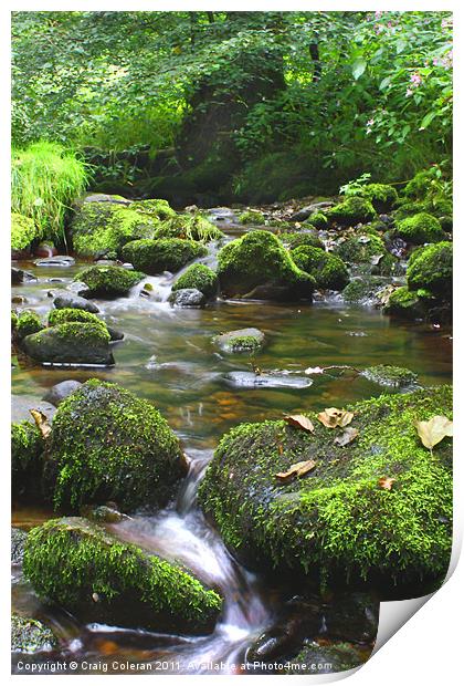 Mossy brook Print by Craig Coleran