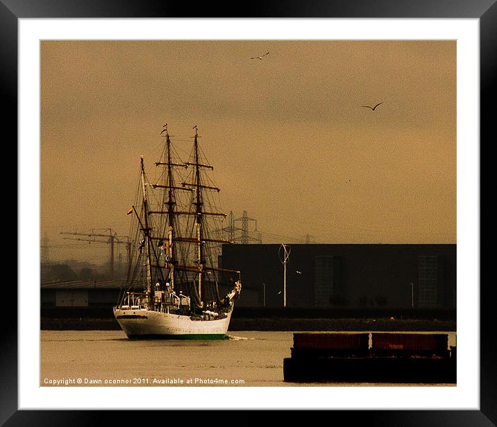 Gloria, Colombian Navy Ship 5 Framed Mounted Print by Dawn O'Connor