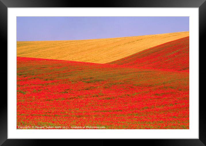 Poppies and wheat, South Downs, East Sussex, England Framed Mounted Print by Geraint Tellem ARPS