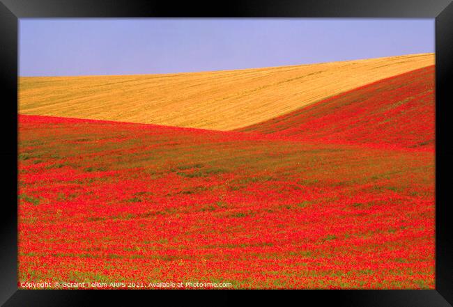 Poppies and wheat, South Downs, East Sussex, England Framed Print by Geraint Tellem ARPS