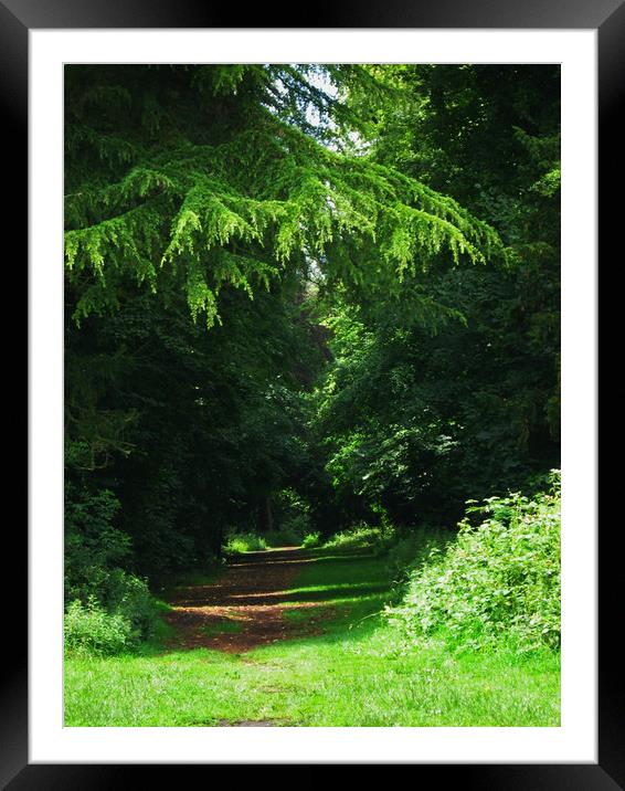 Woodland path Kingsweston. Framed Mounted Print by Heather Goodwin