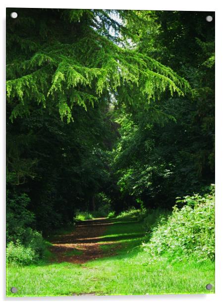 Woodland path Kingsweston. Acrylic by Heather Goodwin