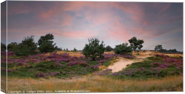 heather fields and dunes in holland Canvas Print by Chris Willemsen