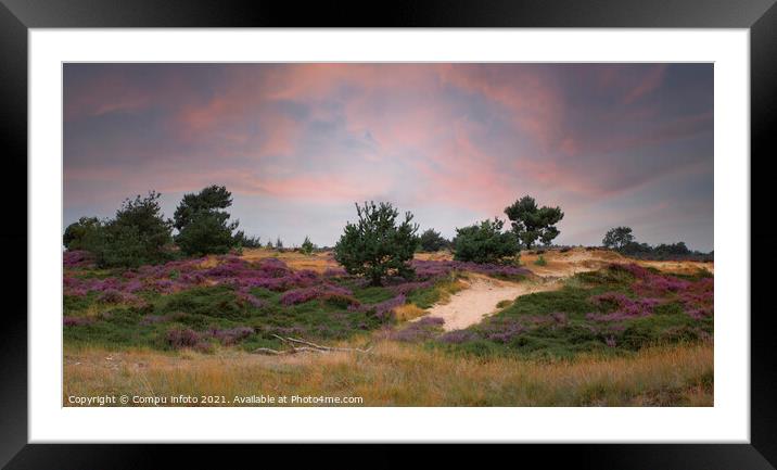 heather fields and dunes in holland Framed Mounted Print by Chris Willemsen