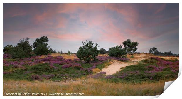heather fields and dunes in holland Print by Chris Willemsen