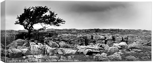 From out of the limestone Canvas Print by Craig Coleran