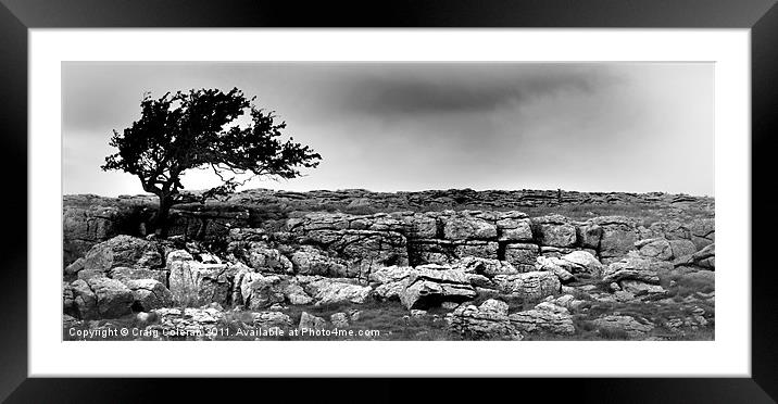 From out of the limestone Framed Mounted Print by Craig Coleran