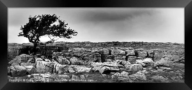 From out of the limestone Framed Print by Craig Coleran