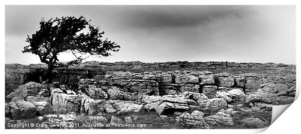 From out of the limestone Print by Craig Coleran