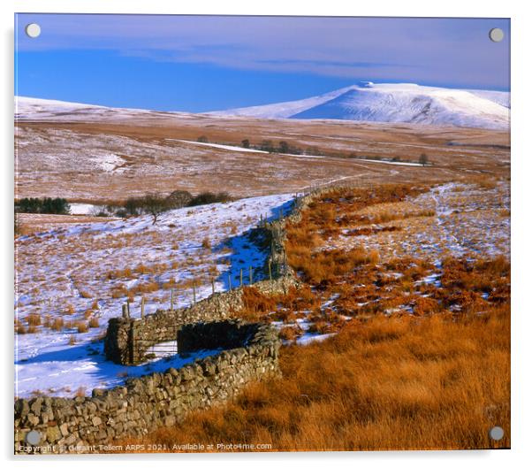 Looking towards Pen y Fan, Brecon Beacons, Wales, UK Acrylic by Geraint Tellem ARPS