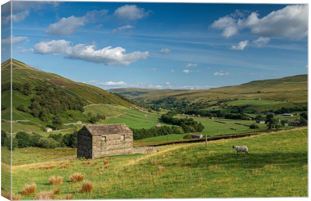 Swaledale barn Canvas Print by Kevin Winter