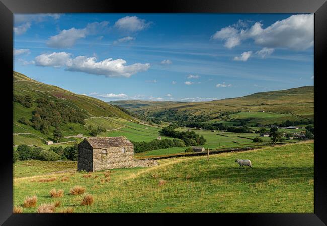 Swaledale barn Framed Print by Kevin Winter