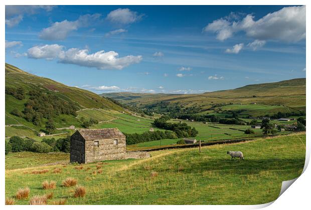 Swaledale barn Print by Kevin Winter