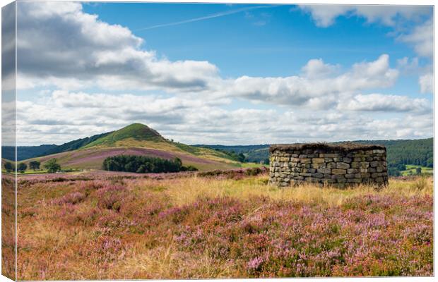Hawnby Hill Canvas Print by Kevin Winter