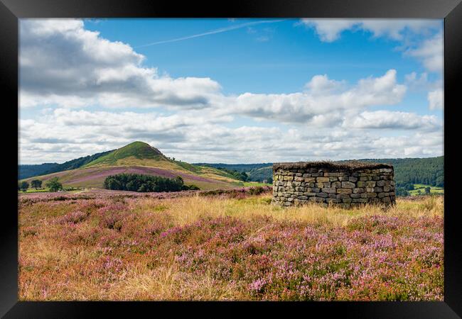 Hawnby Hill Framed Print by Kevin Winter
