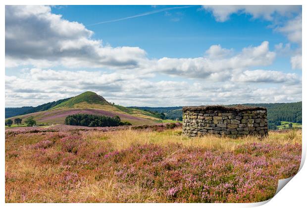 Hawnby Hill Print by Kevin Winter