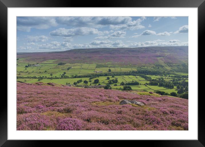 Healaugh amongst the heather Framed Mounted Print by Kevin Winter