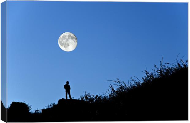Moonlight Solitude Canvas Print by Steve Purnell