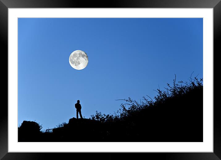 Moonlight Solitude Framed Mounted Print by Steve Purnell