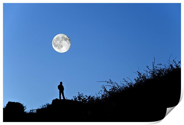 Moonlight Solitude Print by Steve Purnell