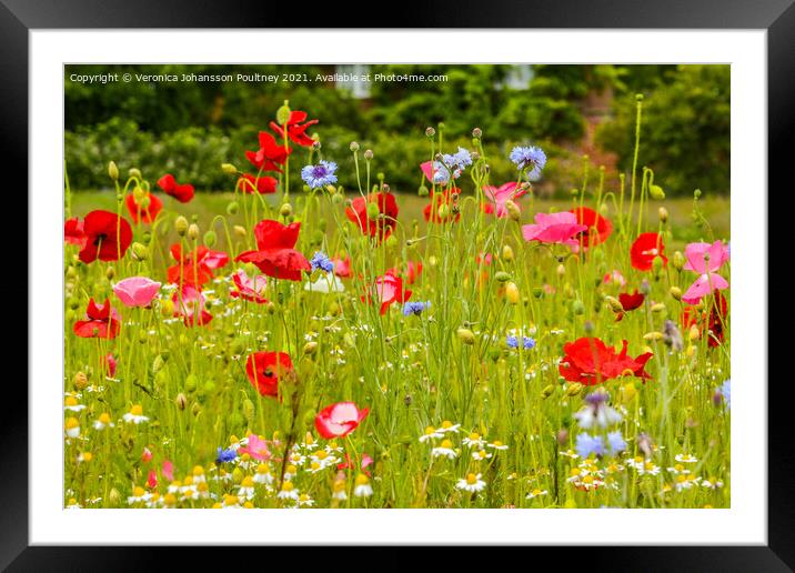 Wildflowers with Poppies Framed Mounted Print by Veronica in the Fens