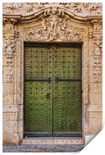 Alicante Town Hall Ornate Door  Print by Navin Mistry