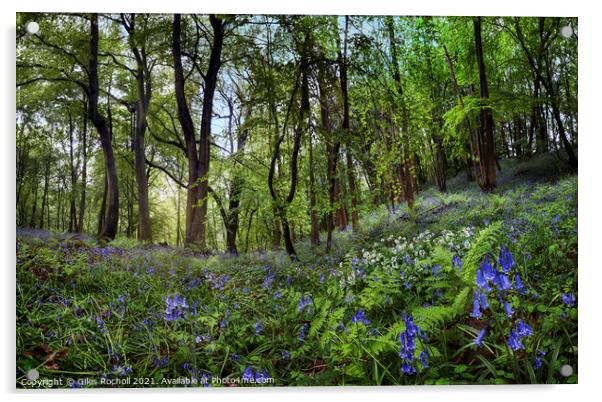 Bluebells bluebell Yorkshire Acrylic by Giles Rocholl