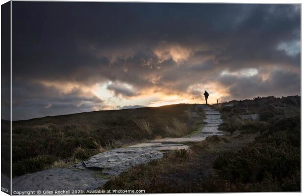 Yorkshire moors walker Canvas Print by Giles Rocholl