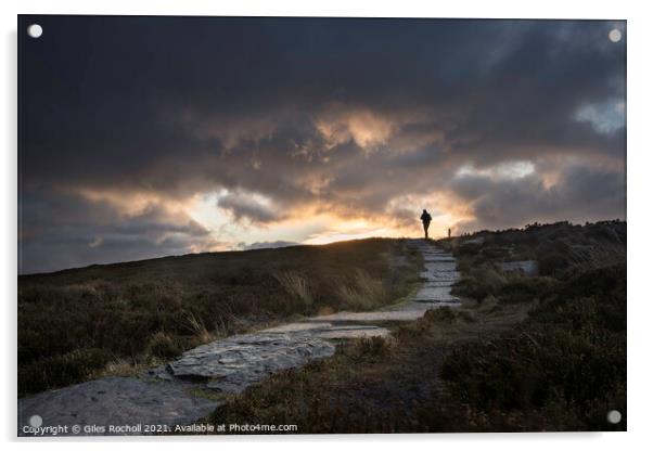 Yorkshire moors walker Acrylic by Giles Rocholl