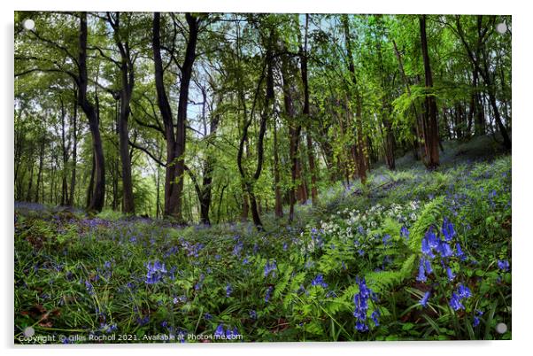 Bluebells and wild garlic Yorkshire Acrylic by Giles Rocholl