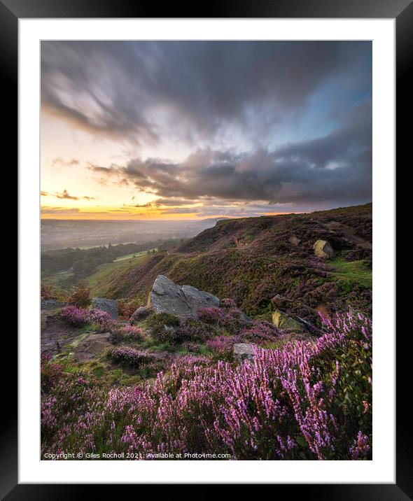 Yorkshire heather moors Framed Mounted Print by Giles Rocholl