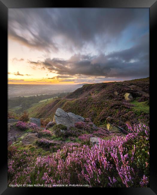 Yorkshire heather moors Framed Print by Giles Rocholl