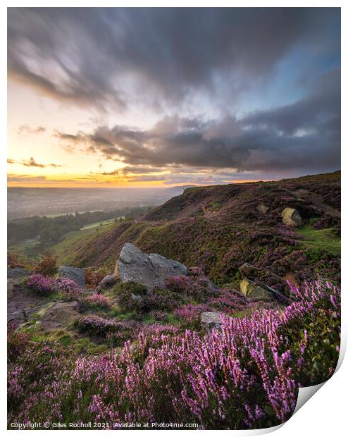 Yorkshire heather moors Print by Giles Rocholl