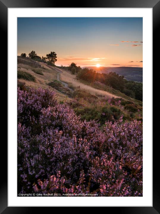 Heather Otley Yorkshire  Framed Mounted Print by Giles Rocholl