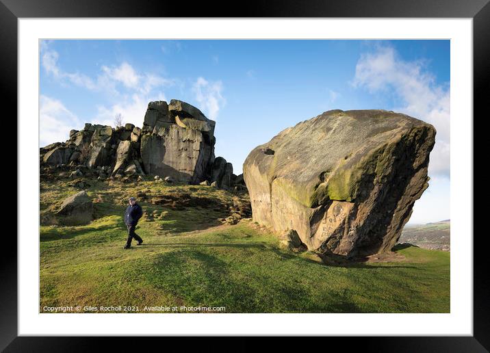 Cow and Calf Ilkley Yorkshire Framed Mounted Print by Giles Rocholl