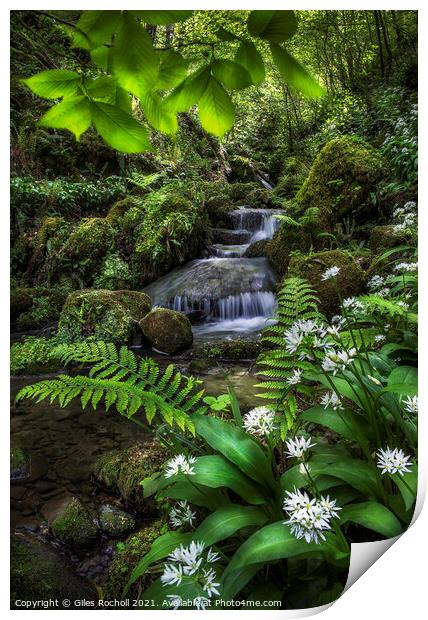 Wild garlic and waterfall Yorkshire Print by Giles Rocholl