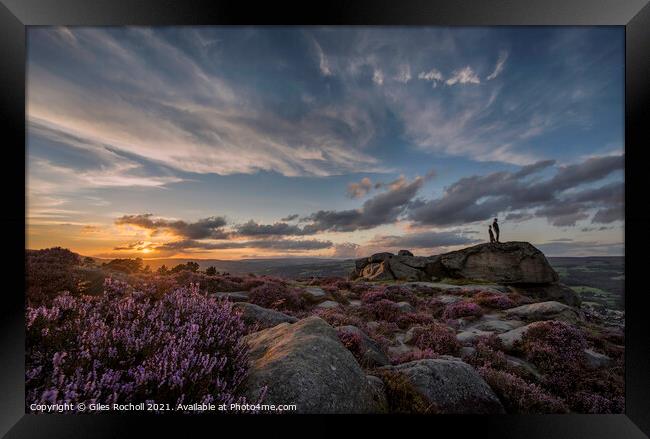 Sunset Ilkley Moor heather Yorkshire Framed Print by Giles Rocholl