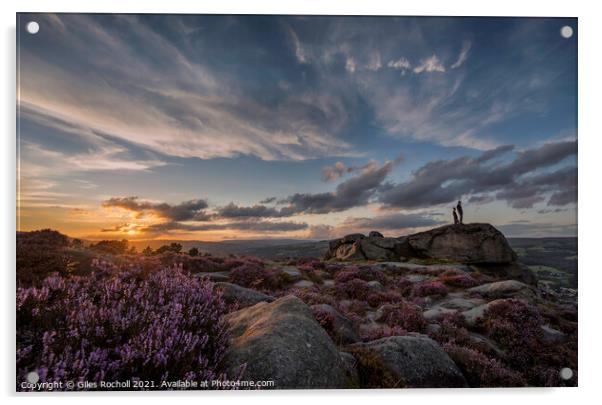 Sunset Ilkley Moor heather Yorkshire Acrylic by Giles Rocholl