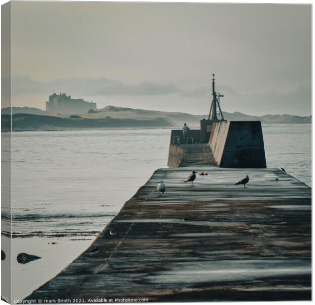 fishing off seahouses harbour Canvas Print by mark Smith