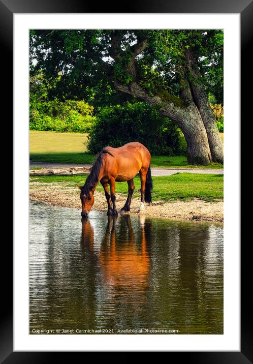 A Quiet Drink Framed Mounted Print by Janet Carmichael